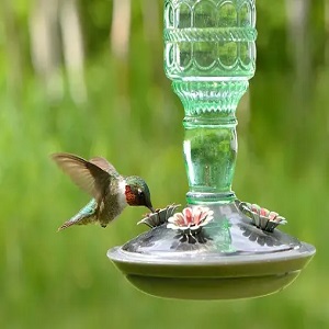 Material Selection for Hummingbird Bird Baths