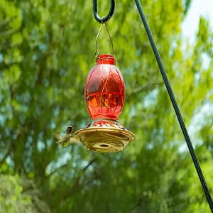 SWEETFULL Solar Bird Feeder