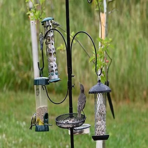 iBorn Metal Bird Feeders