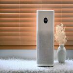 Best Air Purifier For Bird Owners 2023