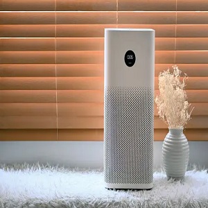 Best Air Purifier For Bird Owners 2023