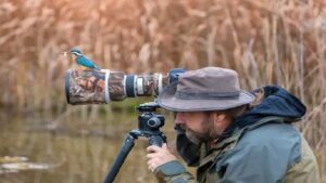 The Basics of Bird Photography