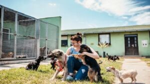 The Importance of Pet Adoption